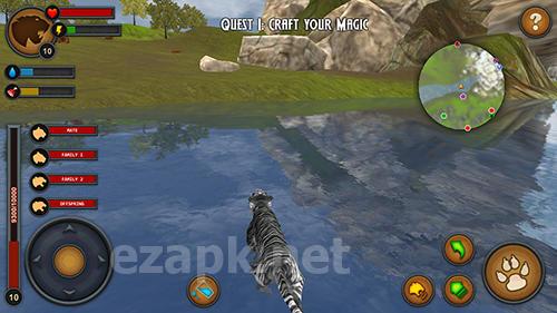 Tigers of the forest