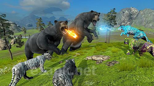 Tigers of the forest