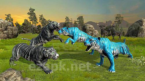 Tigers of the forest