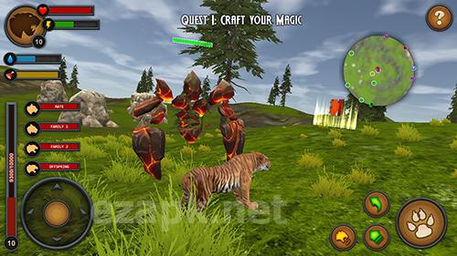 Tigers of the forest