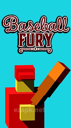 Baseball fury