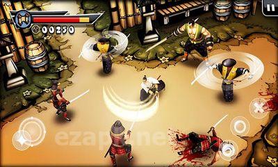 Samurai II vengeance