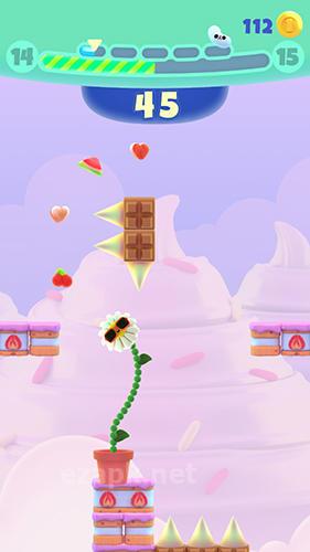 Nom plant