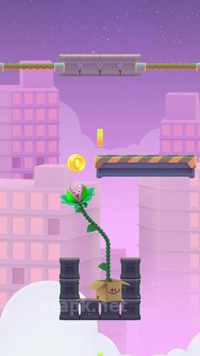 Nom plant
