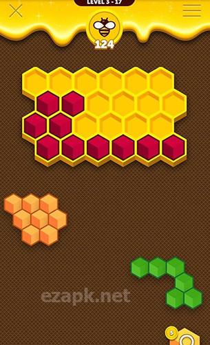 Hexa buzzle