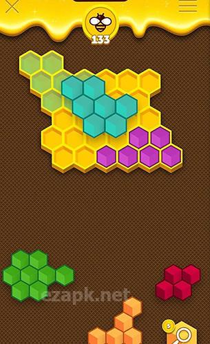 Hexa buzzle