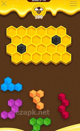 Hexa buzzle
