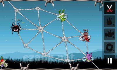 Greedy Spiders