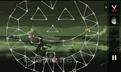 Greedy Spiders