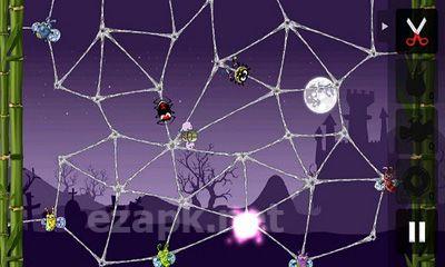 Greedy Spiders