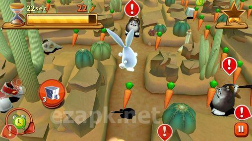 Bunny maze 3D