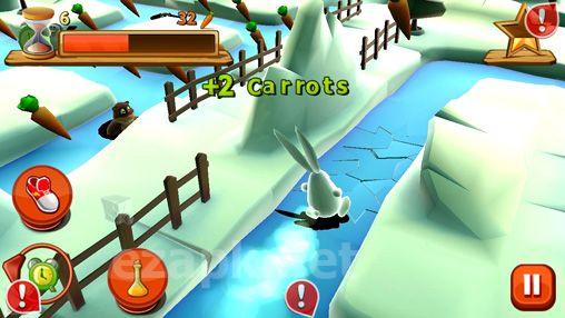 Bunny maze 3D