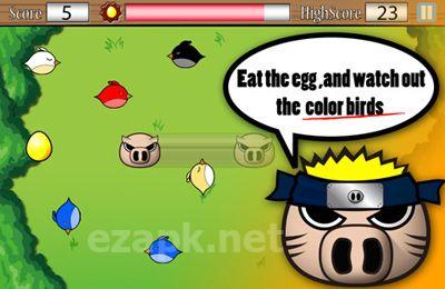 Pigs Revenge