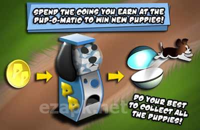 Puppy Panic