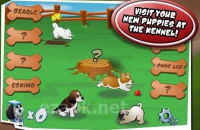 Puppy Panic