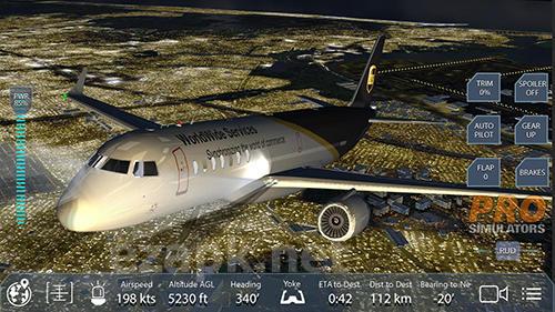 Pro flight simulator NY