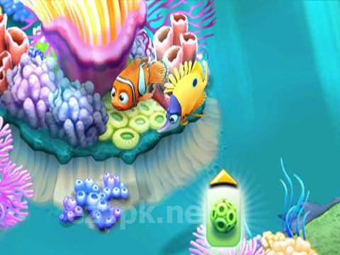 Nemo's Reef