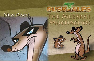 The Meerkat Muchachos