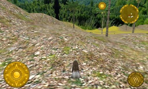 Wild eagle: Survival hunt