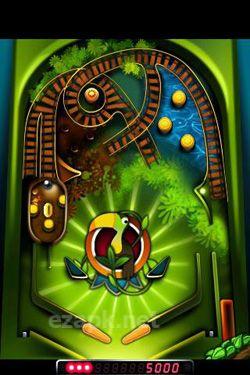 Carnival Pinball