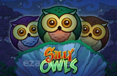 Silly Owls
