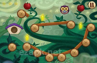 Silly Owls