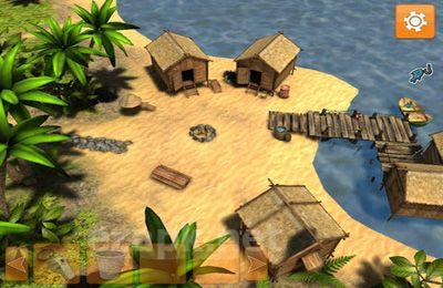 Dolphins of the Caribbean - Adventure of the Pirate’s Treasure