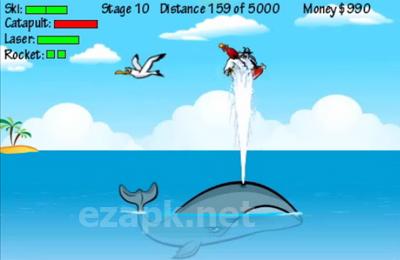Flugtag Pro