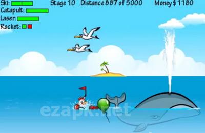 Flugtag Pro
