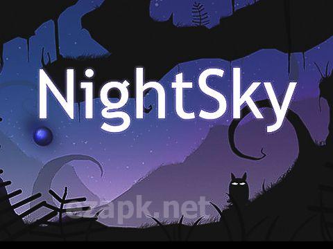 Night sky