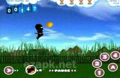 Baby Ninja