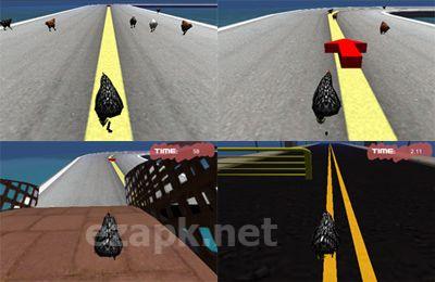 Chicken Racer