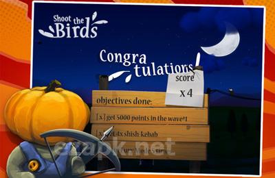 Shoot The Birds