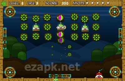 Birdy Bounce