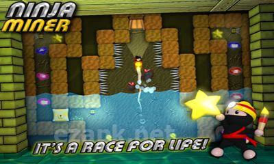 Ninja Miner