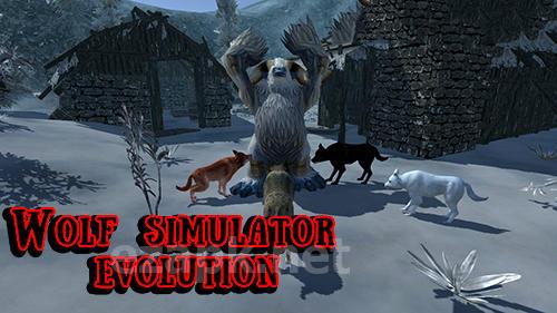 Wolf simulator evolution