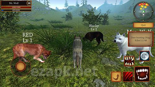 Wolf simulator evolution
