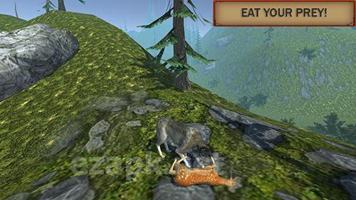 Wolf simulator evolution