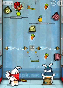 Robber Rabbits!