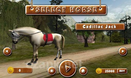 Run horse run