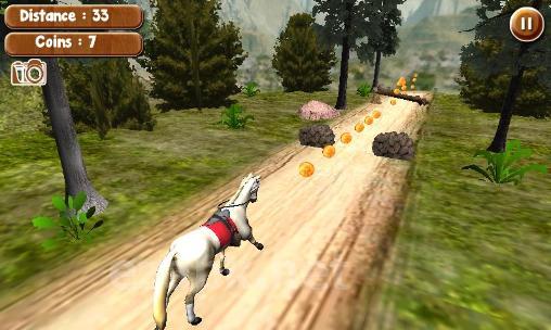 Run horse run