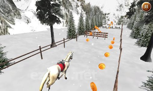 Run horse run