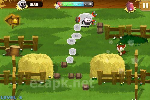 Hay ewe