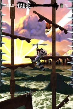 Raccoon Rising