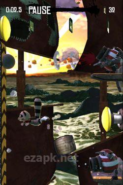 Raccoon Rising