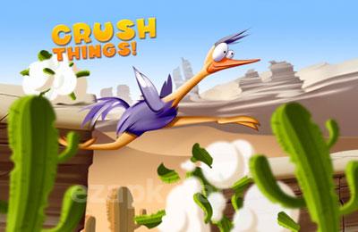 Run Ostrich Run