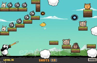 Panda's Revenge