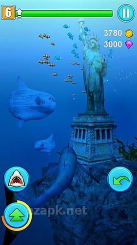 Shark simulator