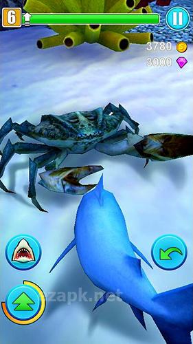 Shark simulator