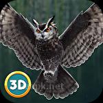 Flying owl simulator 3D